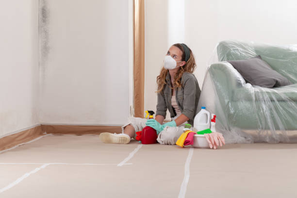 Reliable Mold Cleanup contractor in Chester, VA by Cheap Mold Removal